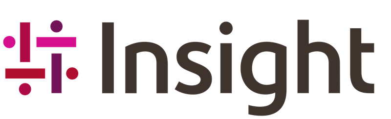 Insight Enterprises Logo 1